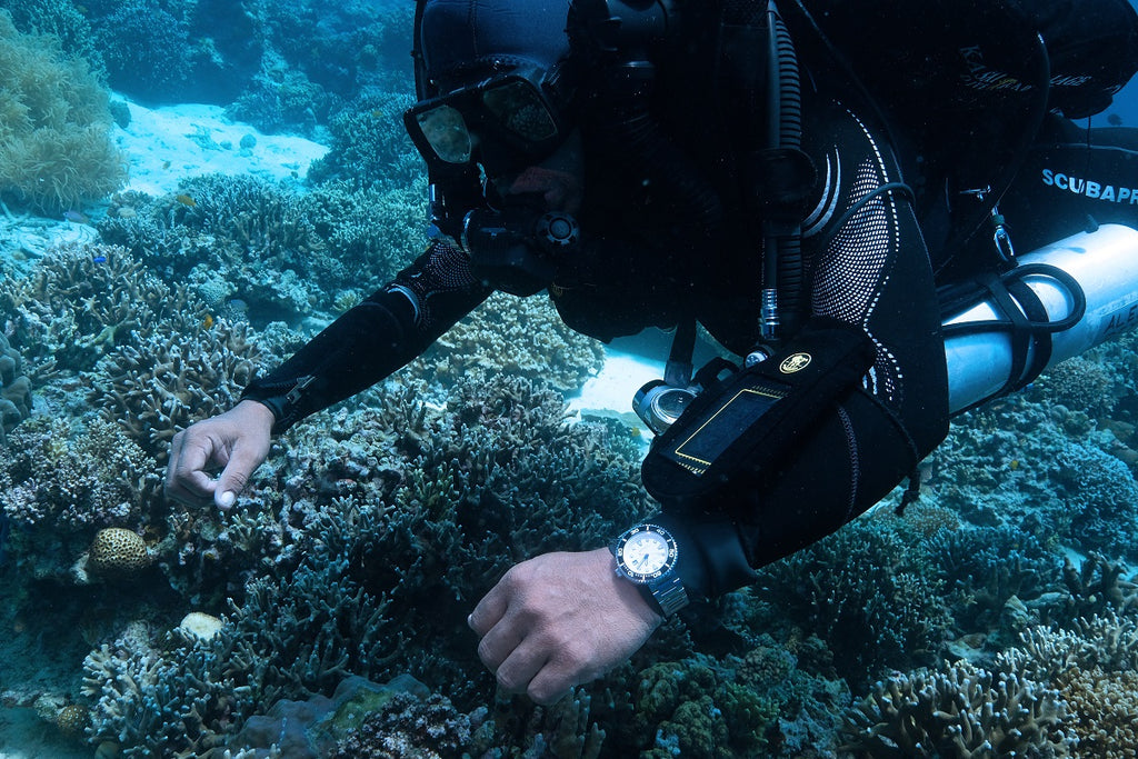 Your Ultimate Guide on Diving Watches